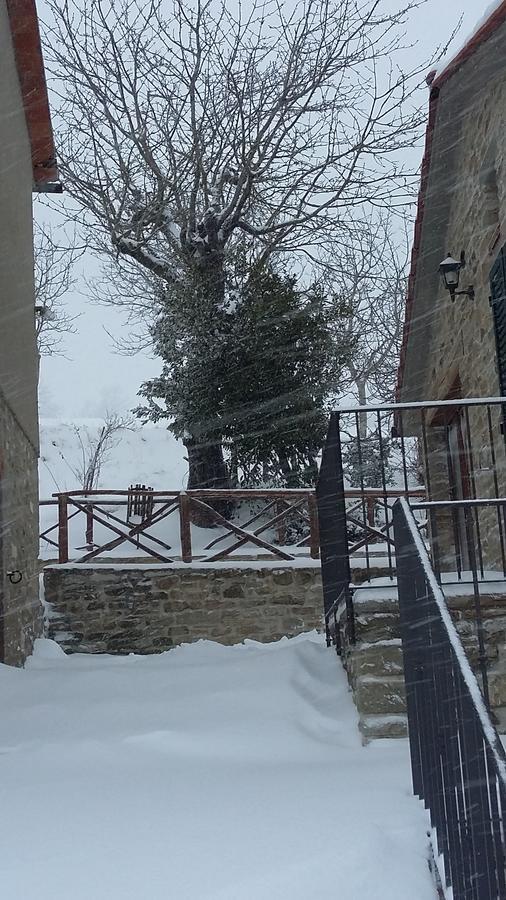 Agriturismo Al Monte ซานเปียโร อิน บาโญ ภายนอก รูปภาพ